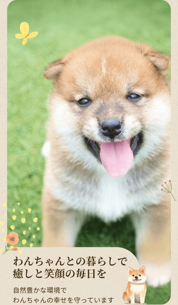 わんちゃんとの暮らしで
癒しと笑顔の毎日を
自然豊かな環境で
わんちゃんの幸せを守っています