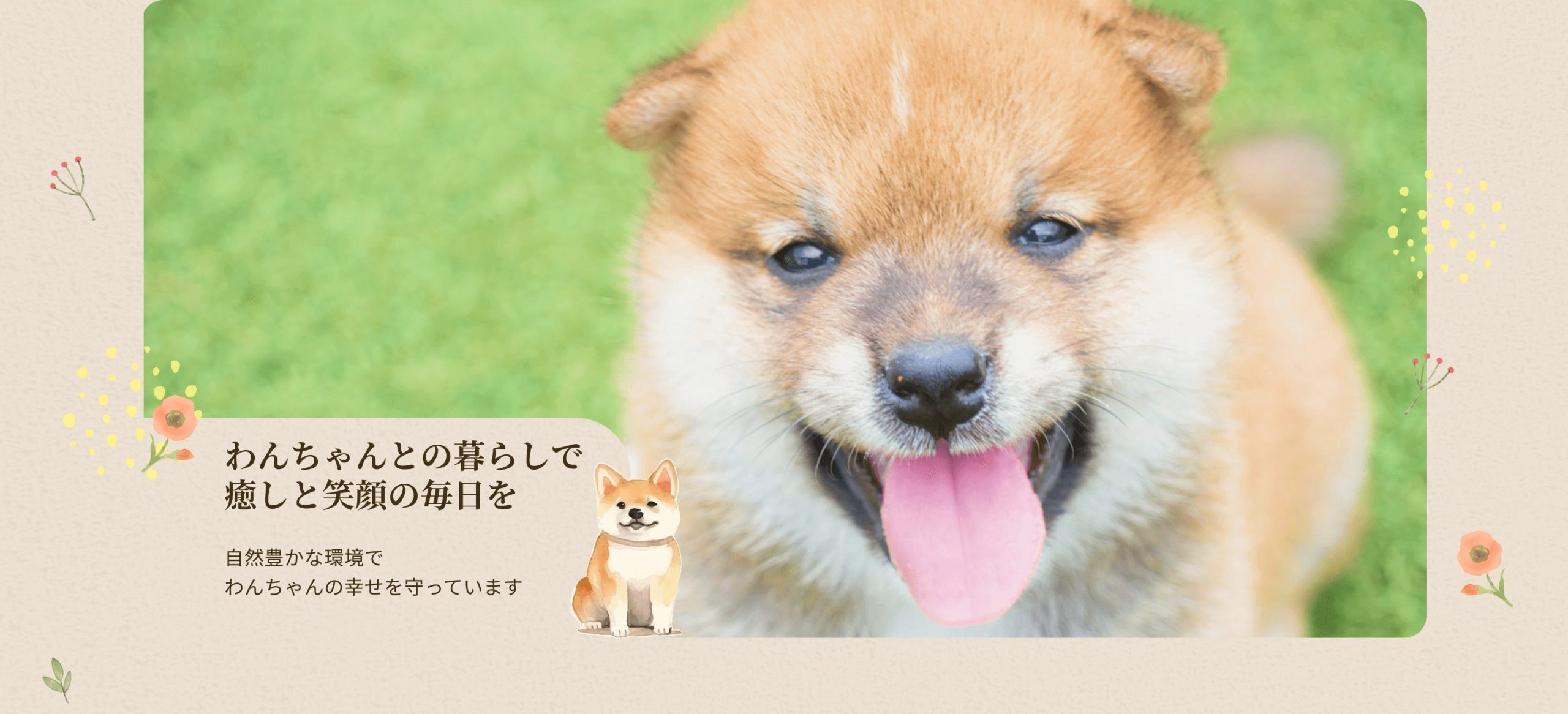豆柴との暮らしで 癒しと笑顔の毎日を 自然豊かな環境で わんちゃんの幸せを守っています