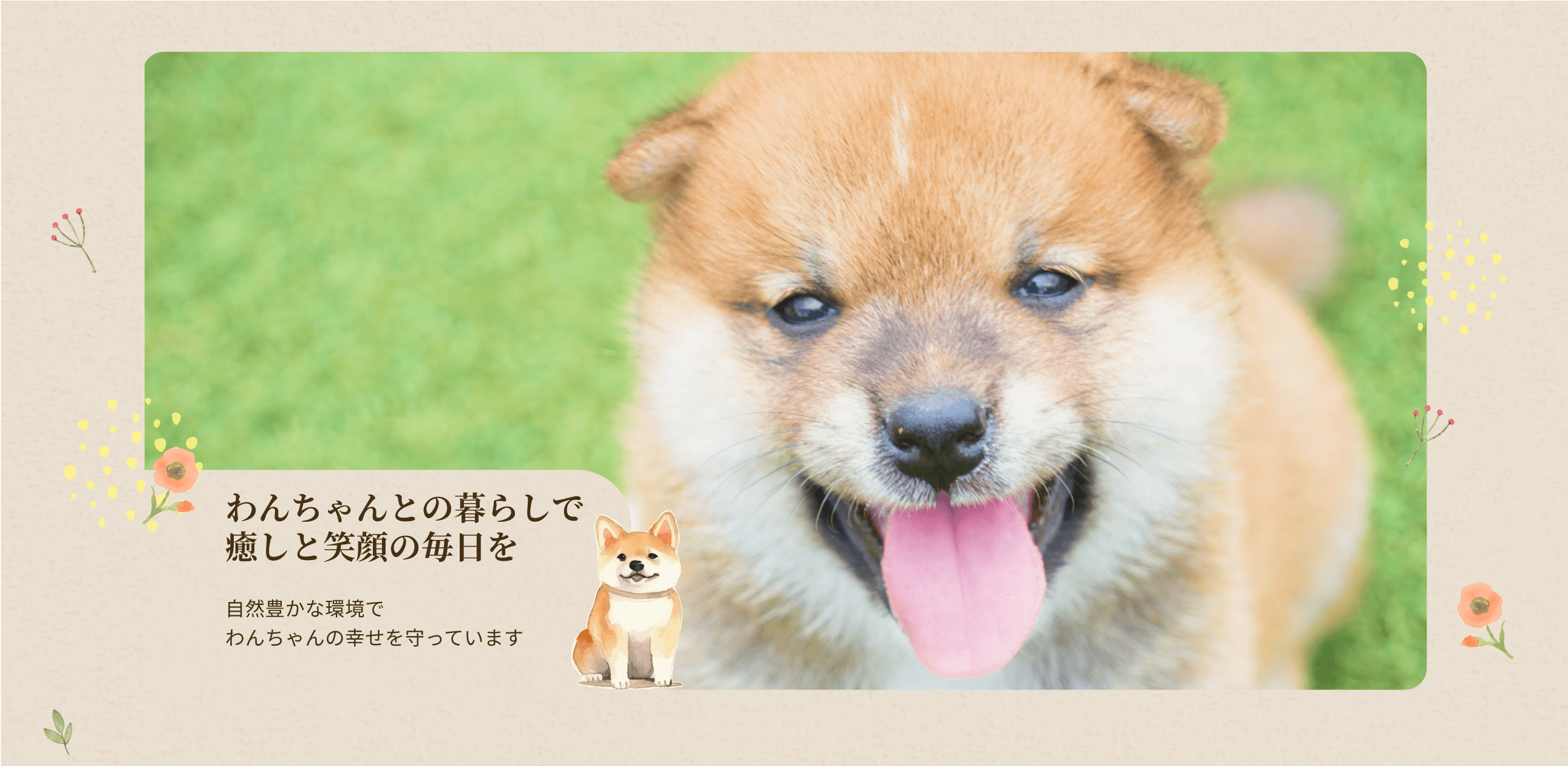 豆柴 キュッと上がった口角が可愛い💕 人が大好きで愛嬌抜群な豆柴